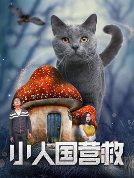 国产看片在线